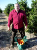 Charles orange picking