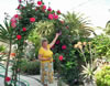 Lucy says look at my lovely roses