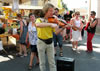 Violin Cat